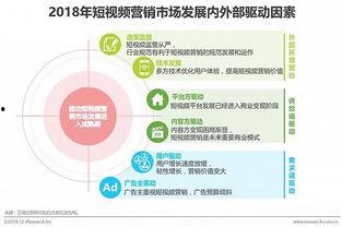 国产短视频营销供应商