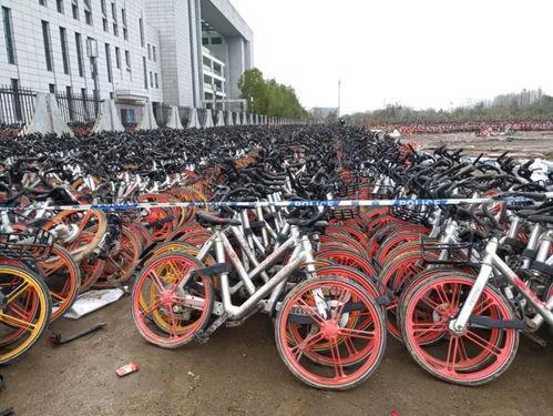 国产共享单车被盗事件视频