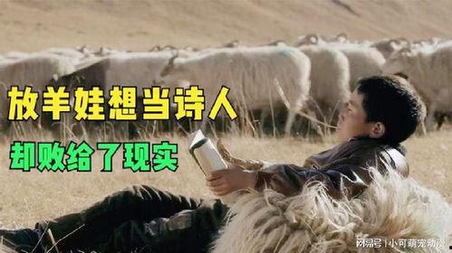 国产电影诗人视频,探寻光影中的诗意与情感