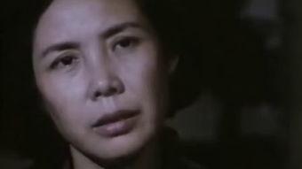 国产81视频播放,重温经典，感受时代变迁