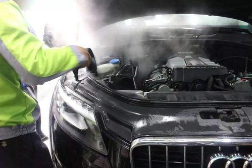 国产车淋雨视频下载软件,揭秘国产车防水性能，下载软件助你一探究竟