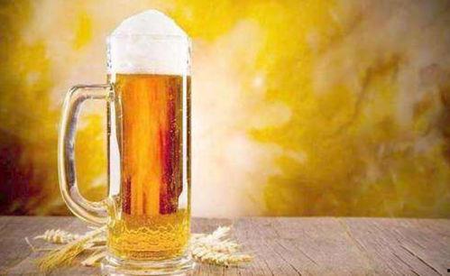 国产啤酒喝法图解视频,解锁传统风味新体验