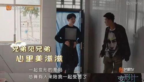 国产偷观看视频在线观看,在线观看背后的秘密与挑战