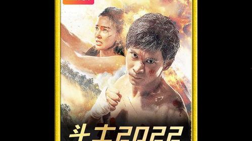 国产的大片视频,视觉盛宴与民族自豪的完美融合