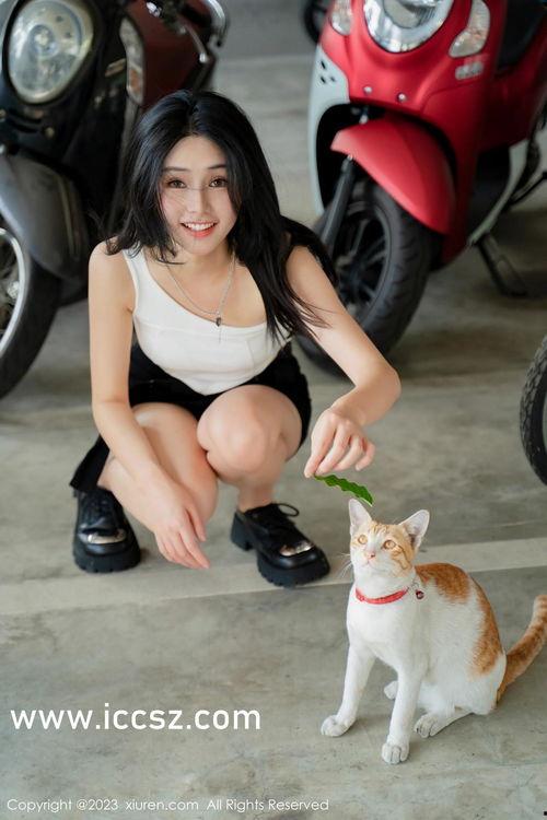 国产又粗又长精品视频,探寻又粗又长精品视频的极致魅力